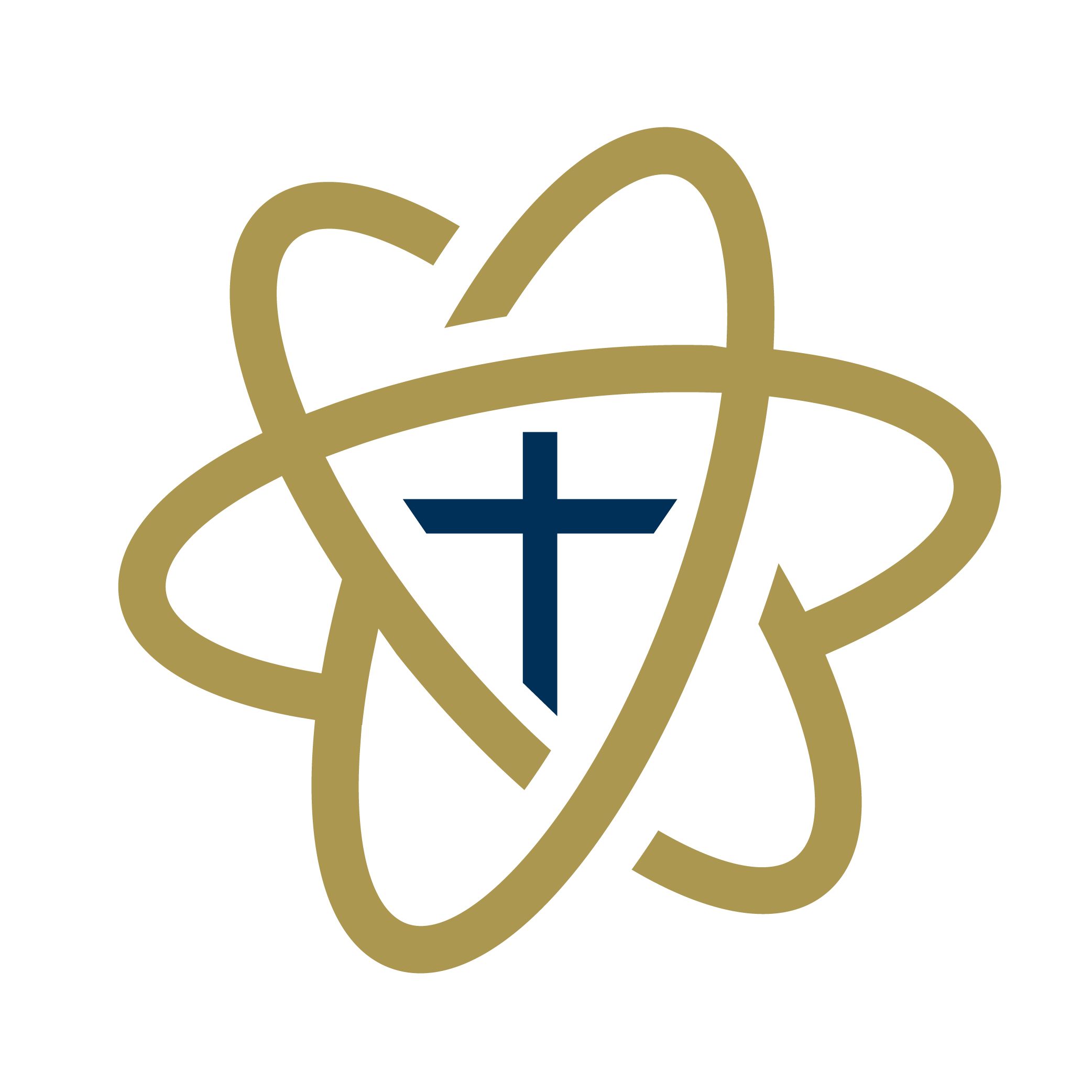 Gold emblem with navy cross