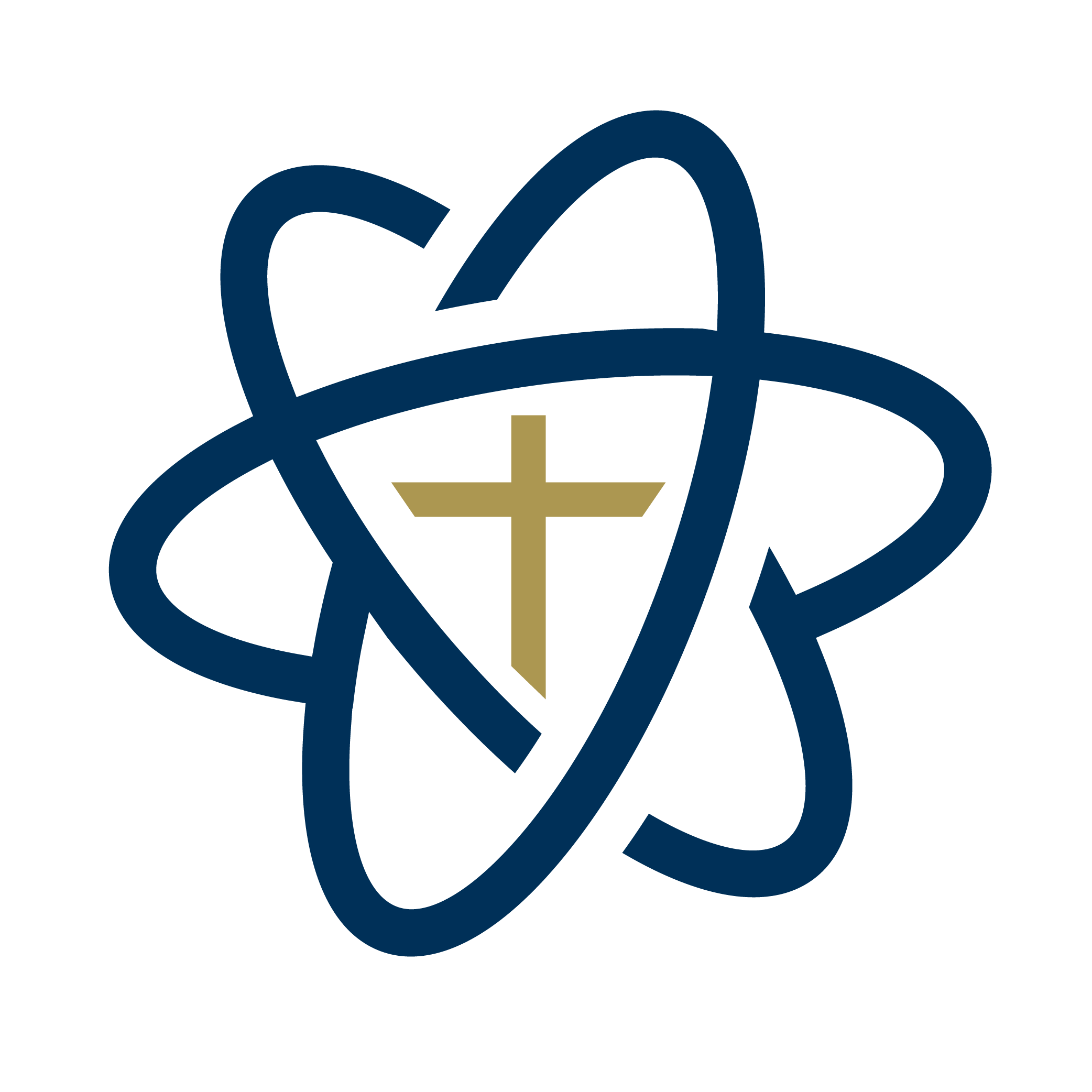 Navy emblem with gold cross